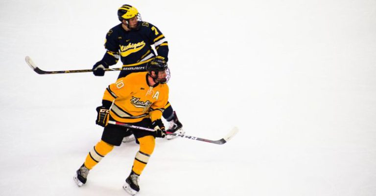 Ice Hockey - Hockey Players Playing Inside a Rink