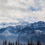 Rocky Mountains - House Near Pine Tree