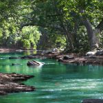 Amazon River - Body of Water Between Green Leaf Trees