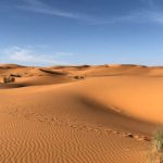 Sahara Desert - Green Grasses on Sahara Desert