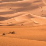 Sahara Desert - Desert