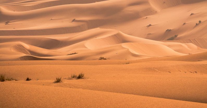 Sahara Desert - Desert