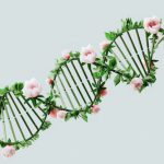 DNA - An artist’s illustration of artificial intelligence (AI). This image depicts how AI could assist in genomic studies and its applications. It was created by artist Nidia Dias as part of the...