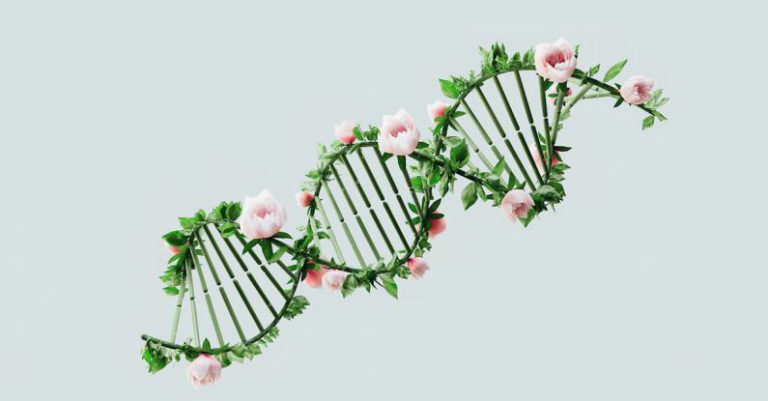 DNA - An artist’s illustration of artificial intelligence (AI). This image depicts how AI could assist in genomic studies and its applications. It was created by artist Nidia Dias as part of the...