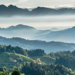 Thomas Edison - Mountainous valley with evergreen forest against misty sky