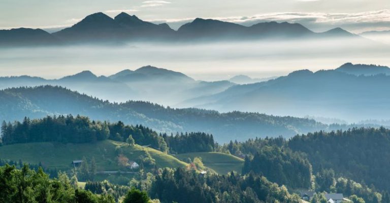 Thomas Edison - Mountainous valley with evergreen forest against misty sky
