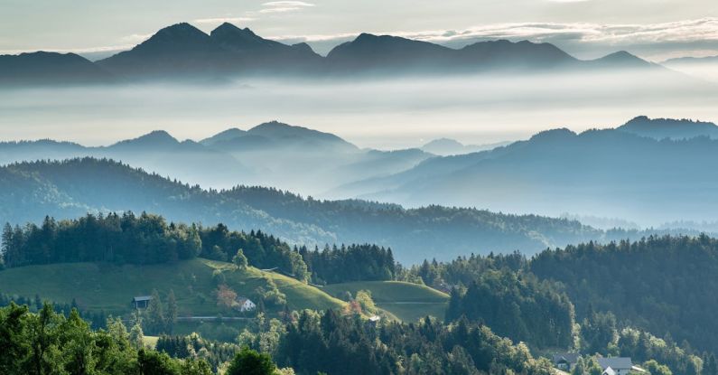 Thomas Edison - Mountainous valley with evergreen forest against misty sky